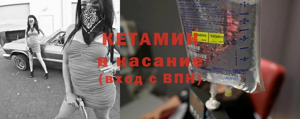 твердый Аркадак