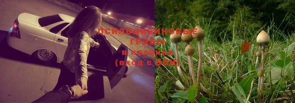 Альфа ПВП Балабаново