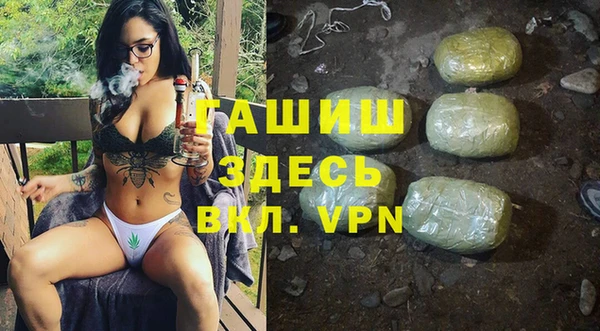 сатива Армянск