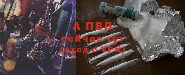 твердый Арсеньев