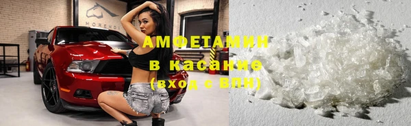 сатива Армянск