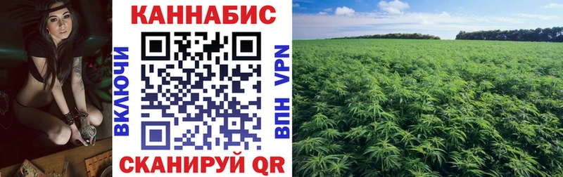 Шишки марихуана план Дюртюли